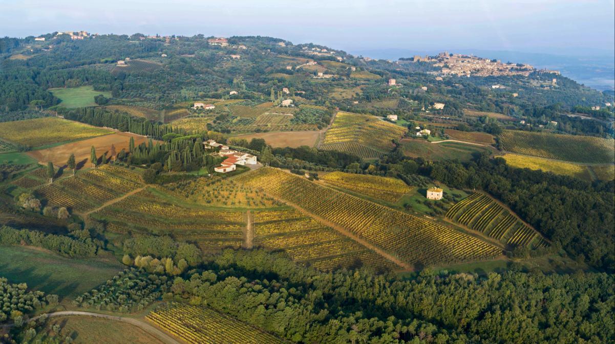 Producer Profile: Biondi-Santi